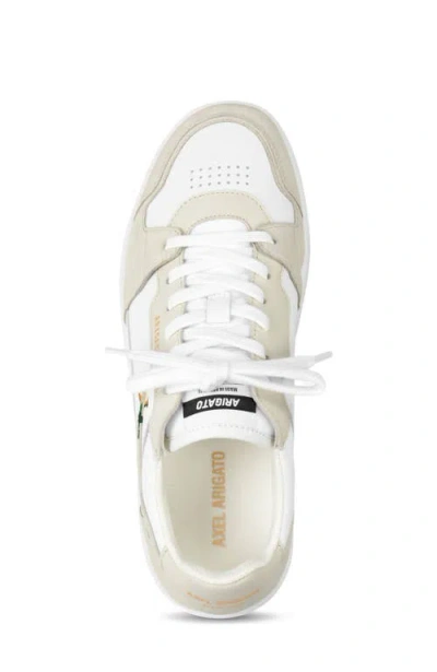 Axel Arigato Dice Lo Bee Bird Sneakers In White Leather In Multi
