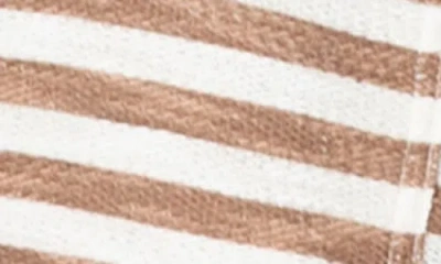 Roxy West Coast Stripe Shorts In Multi