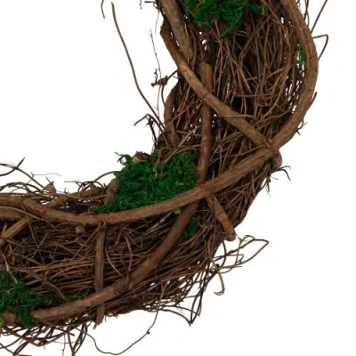 Northlight Moss And Twig Artificial Spring Wreath In Multi