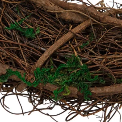 Northlight Moss And Twig Artificial Spring Wreath In Multi