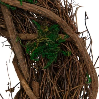 Northlight Moss And Twig Artificial Spring Wreath In Multi