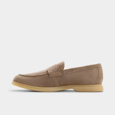 Aldo Ecko In Brown