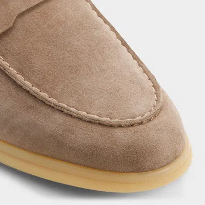 Aldo Ecko In Brown