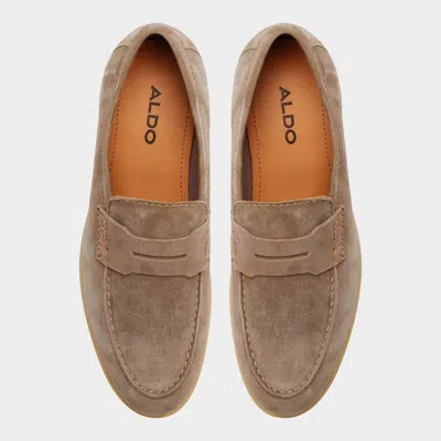 Aldo Ecko In Brown