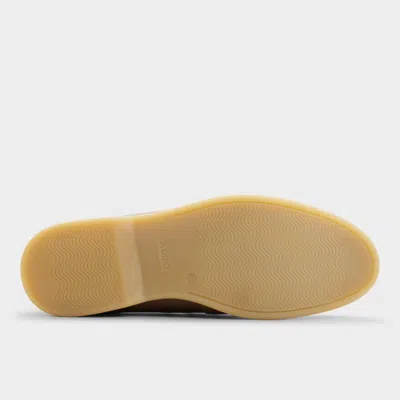 Aldo Ecko In Brown
