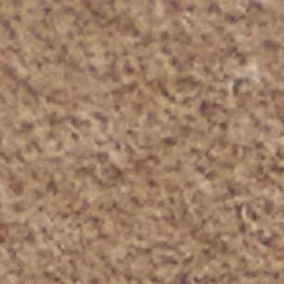 Aldo Ecko In Brown