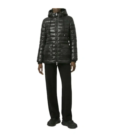 Moncler Down Hooded Jasmin Puffer Jacket In Blue