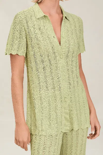 Devon Windsor Irene Top In Green
