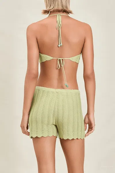 Devon Windsor Ivy Short In Matcha