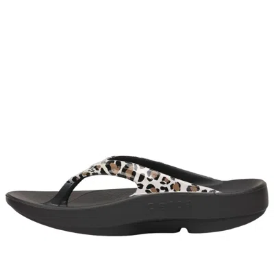 Oofos Oolala Flip Flop In Animal Print