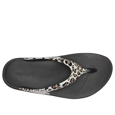 Oofos Oolala Flip Flop In Animal Print