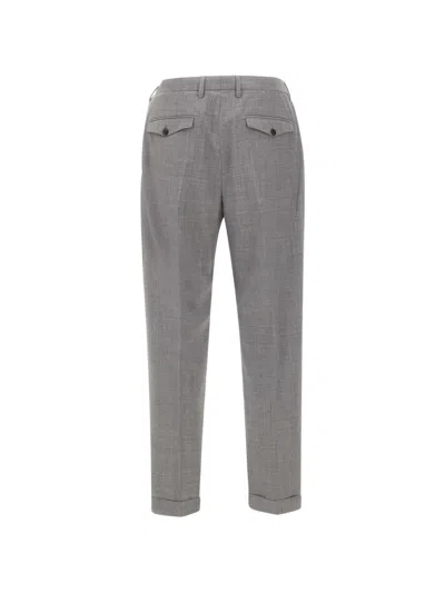 Devore Pleated Cuffed Trousers In Gray