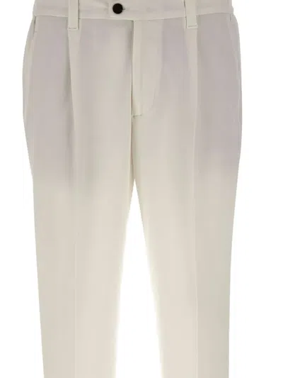 Devore Elasticated-pleated Trousers In Neutral