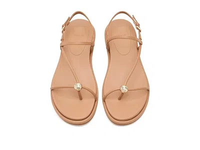 Dolce Vita Dallen Sandals Saddle Leather In Brown