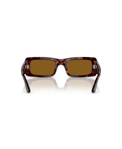 Persol Francis In Brown