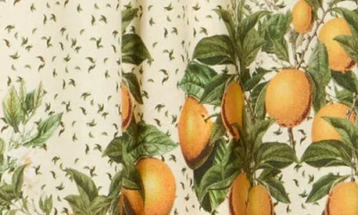 Max Studio Border Print Maxi Skirt