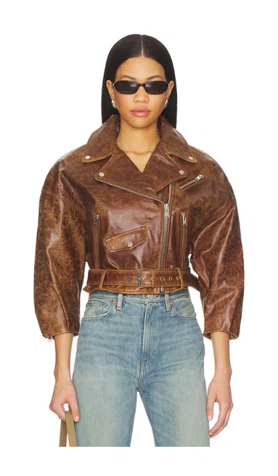 Lamarque Vinnie Jacket In Brown