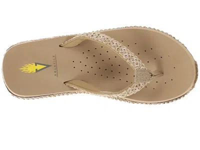 Volatile Palau In Multi