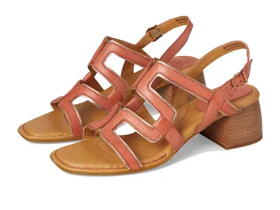 Born Sofia Sandal In Multi