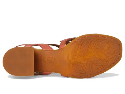 Born Sofia Sandal In Multi