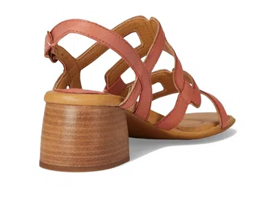 Born Sofia Sandal In Multi