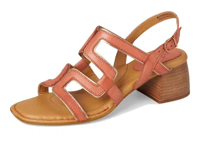 Born Sofia Sandal In Multi