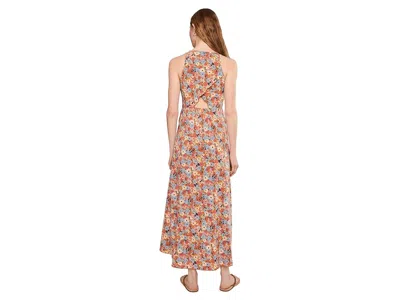 Toad And Co Sunkissed Maxi Dress In Multi
