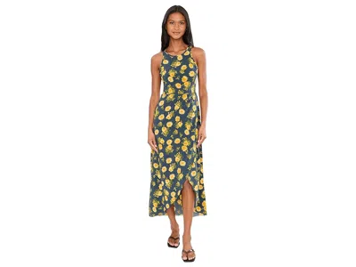 Toad And Co Sunkissed Maxi Dress In Multi