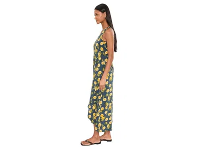 Toad And Co Sunkissed Maxi Dress In Multi