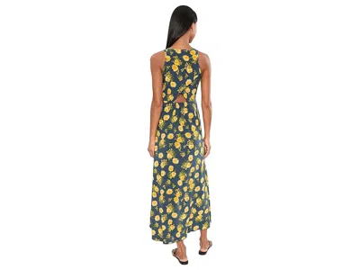 Toad And Co Sunkissed Maxi Dress In Multi
