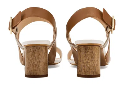 Vaneli Lorian In Multi