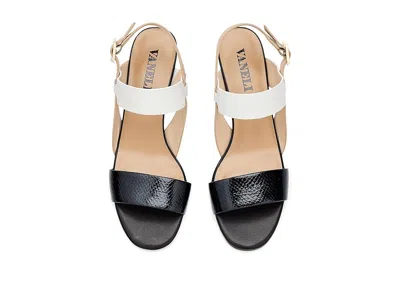 Vaneli Lorian In Multi