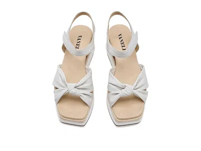 Vaneli Ekon In Multi