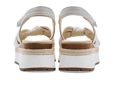 Vaneli Ekon In Multi