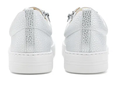 Vaneli Ylana In Multi