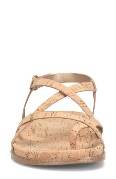 Korks Arica Toe Loop Sandal In Brown