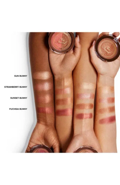 Too Faced Sun Bunny Blushing Bronzer