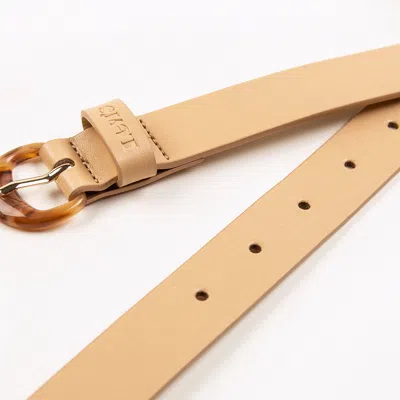 Levi's Shell Belt In Brown