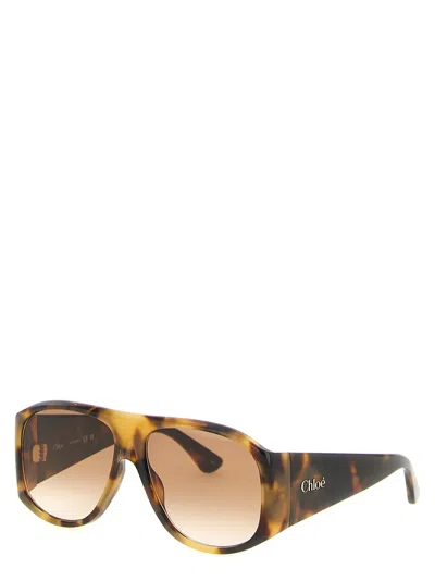 Chloé 60 Sunglasses Brown In Brown