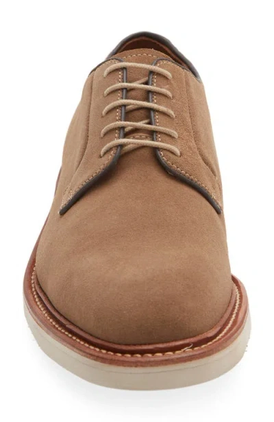 Allen Edmonds Devin Derby In Brown