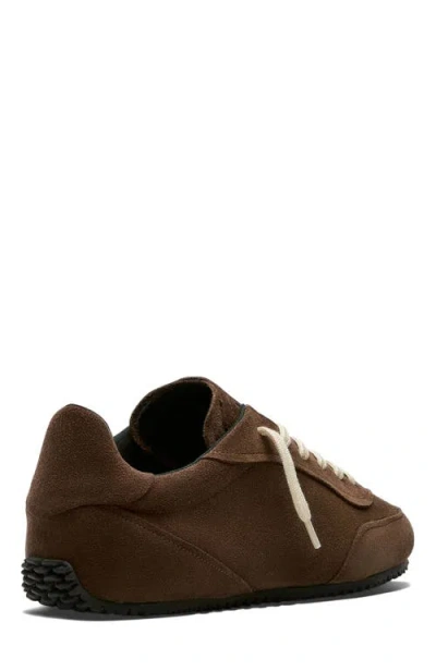 Axel Arigato Dark Brown Lace Up Sneakers In Multi