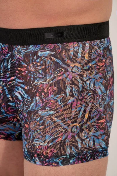 Hom Biscayne Boxer Briefs In Multi