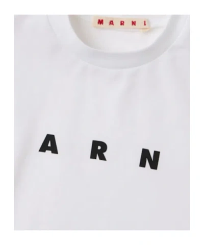 Marni Kids Logo-printed Crewneck T-shirt In White