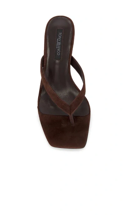 Tony Bianco Topaz Thong Heeled Sandals Espresso Suede In Brown