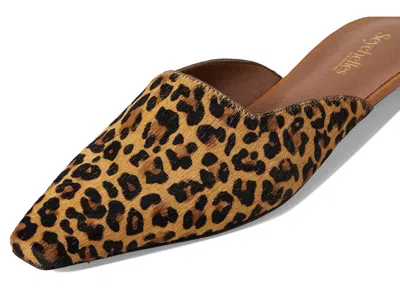 Seychelles Mocktail Mule In Brown