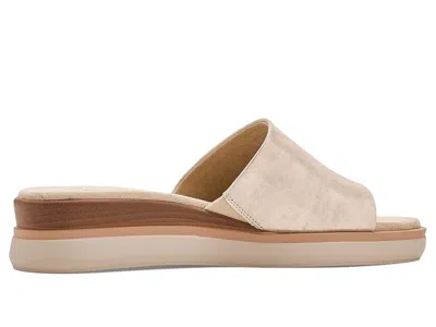 Vaneli Honna In Neutral