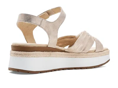 Vaneli Ekon In Neutral