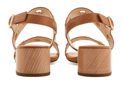 Vaneli Cris In Brown