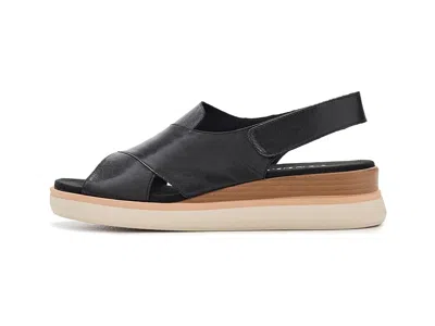 Vaneli Hydra In Black