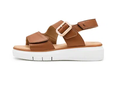 Eric Michael Luisa In Brown